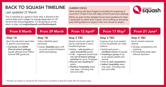 back to squash timeline